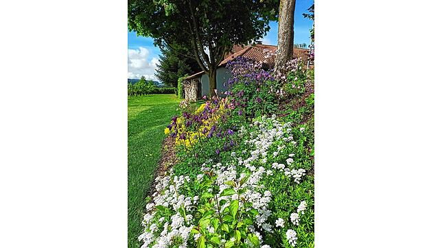 Ein Traum von Garten. So sieht&lsquo;s aus im Garten von Monika Müller, Frickingen