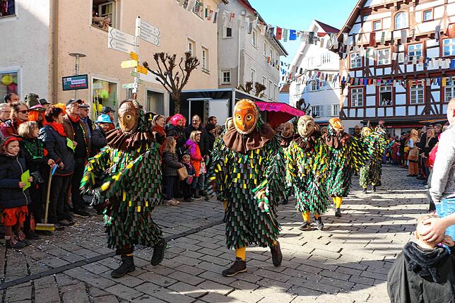 Bild 9: Bilder vom Umzug in Meßkirch (4)