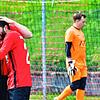 Bild :