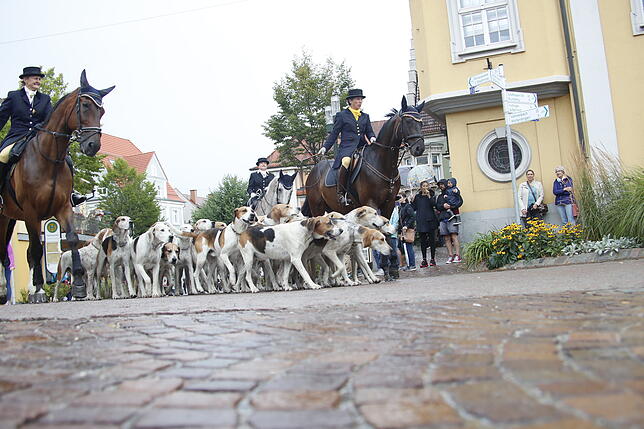 Bild 5: Das bisschen Regen! So bunt und vielfältig war der Festumzug des Reitturniers