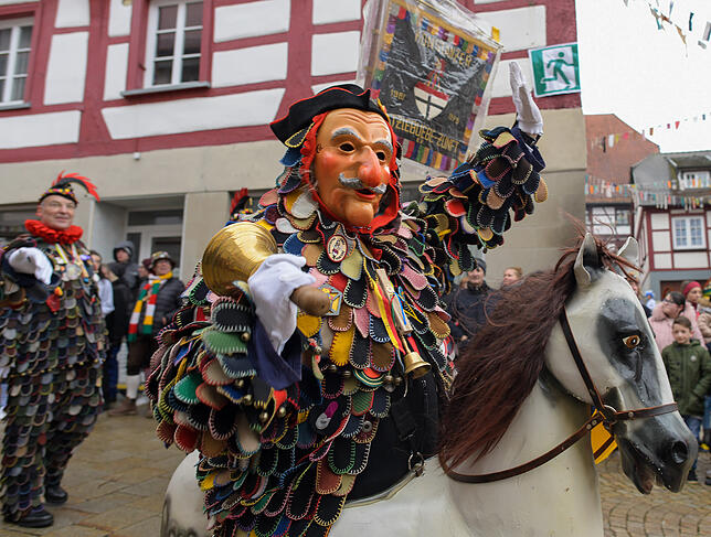 Bild 21: Tausende Hästräger und Musiker in Pfullendorf: Bilder vom Umzug (2)