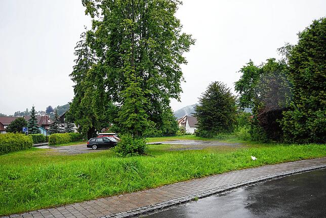So sah es vor dem Bau des dm-Markts auf demselben Grundstück aus. Links vom Foto ist die Überlinger Straße.