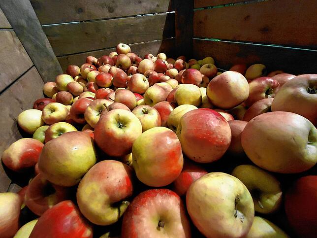 Zweifarbige Äpfel bilden besonders viele Aromastoffe und haben dadurch einen intensiveren Geschmack.