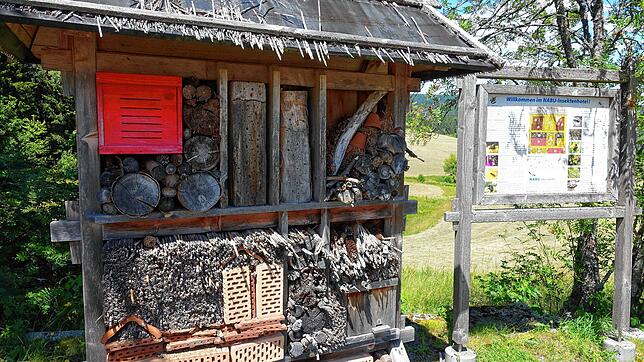 Lebhaft geht es am Insektenhotel zu. Hier erfährt der Betrachter auch viel Wissenswertes über Wildbienen.