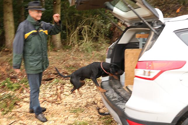 Leichte Übung: Frieder Dinkelakers Hund Balin springt federleicht in den Kofferraum.