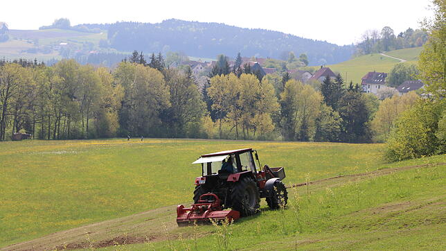 Landwirte verbringen im Allgemeinen einen großen Teil ihrer Arbeitszeit auf dem Traktor, wie hier Frank Eggert. Diese Weide mulcht er, ...