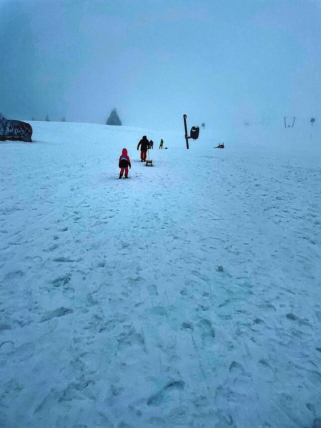 Vor allem Familien waren am Sonntagnachmittag auf dem Feldberg, um dort Schlitten zu fahren.