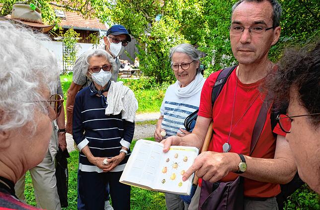 Das ist er: Gregor Schmitz von der Universität Konstanz zeigt den gelben 22-Punkt-Käfer, der sich von Mehltau-Pilzen ernährt.