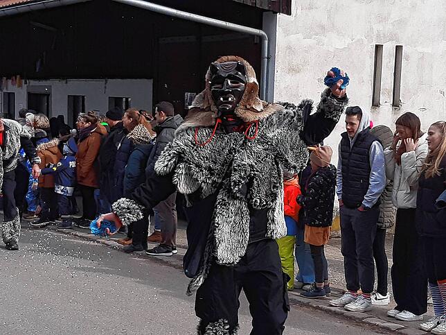 Bild 12: Die schönsten Bilder vom großen Habufa-Umzug in Hasel (1)