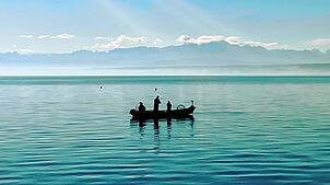 Angeln vom Boot aus – mit Blick auf die Alpen und die Angel im Wasser. Doch auch auf dem See gelten klare Regeln.