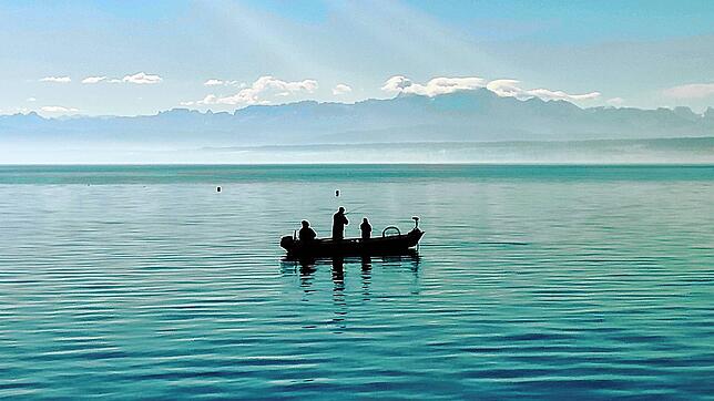 Angeln vom Boot aus – mit Blick auf die Alpen und die Angel im Wasser. Doch auch auf dem See gelten klare Regeln.