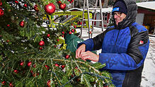Axel Hübner sorgt dafür, dass der große Weihnachtsbaum im Weihnachtsdorf bei der Naturbühne an allen sechs Weihnachtszaubertagen wie aus ...
