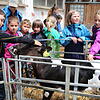 Ein Besuch wie hier auf dem Bauernhof der Familie Linhard soll Bestandteil des Kinder-Sommers der Gemeinden Mönchweiler und Königsfeld ...