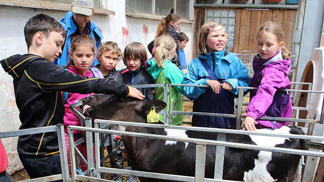 Ein Besuch wie hier auf dem Bauernhof der Familie Linhard soll Bestandteil des Kinder-Sommers der Gemeinden Mönchweiler und Königsfeld ...