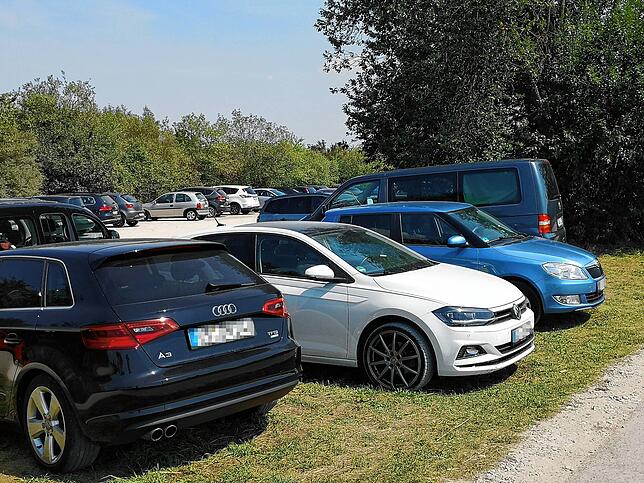 Im Sommer gibt es am Riedsee immer wieder Probleme mit fehlendem Parkraum und Falschparkern.