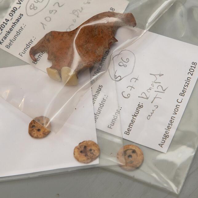 Bild 13: Auf dem Konstanzer Vincentius-Areal werden mehr als 600 Skelette ausgegraben. Was mit den Knochen passiert, zeigen wir Ihnen in Bildern.