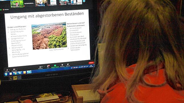 In einer Online-Veranstaltung mit 94 Anmeldungen diskutierten die Teilnehmer im Anschluss an den Vortrag von Jürgen Bauhus über ...