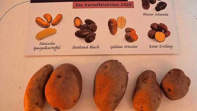 Welche Kartoffel ist die jeweils abgebildete Sorte?