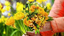 Außergewöhnliches Blumengeschenk: Was als Liebesbekundung für eine Mitarbeiterin des Landratsamts Ulm gedacht war, endete in einem ...