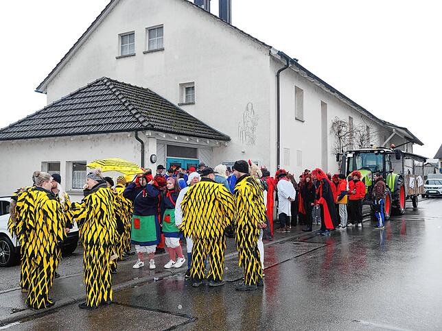 Bild 10: Hohentengen in Narrenhand: Fasnacht-Highlights und spektakuläre Bilder!