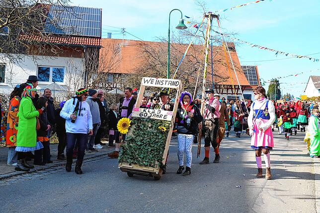 Bild 33: „Narri-Narro“ in hallt in den Straßen