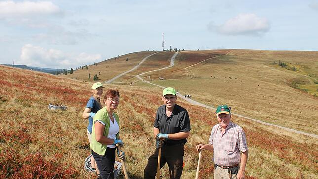 Haben Spaß beim Enzianstechen auf dem Feldberg: Carolin Barth (von links), Helene Stefan, Ansgar Barth, Roland Stefan.