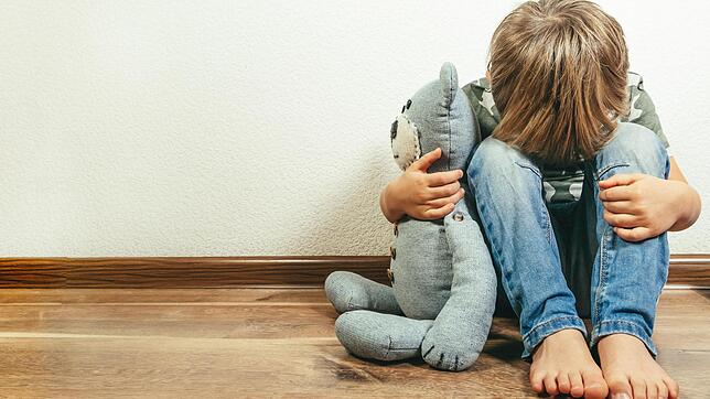 Ein Mann aus der Raumschaft Triberg soll sich an drei Neffen im Alter zwischen sechs und 13 Jahren vergangen haben. Vor dem Landgericht ...
