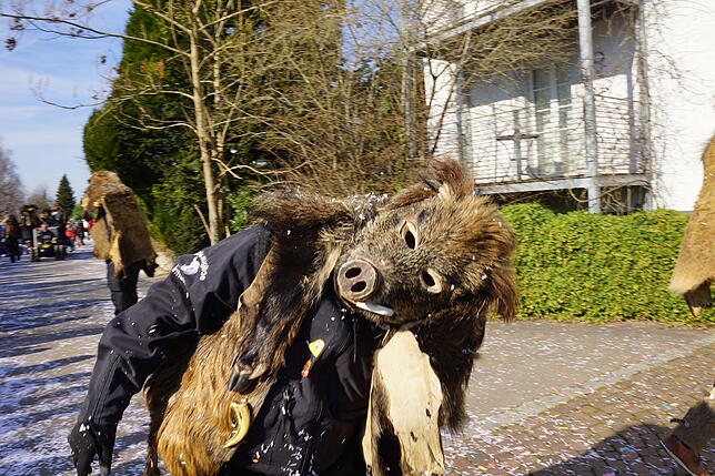 Bild 28: Küssaberger Narrentreffen 2025: Rheinheim feiert Fasnacht