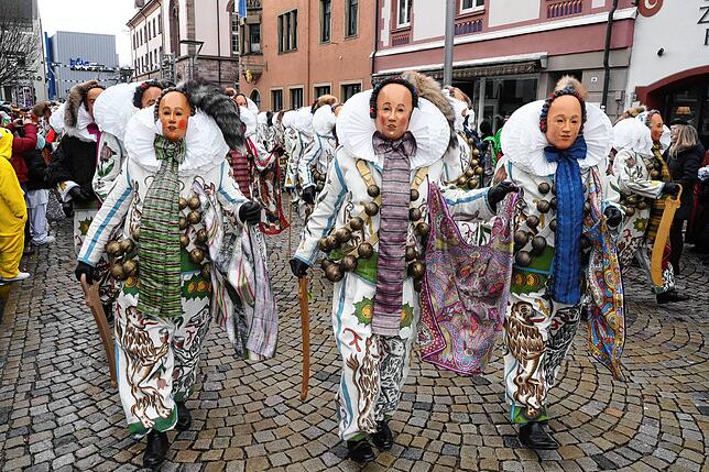 Bild 8: Montags-Umzug der Narrozunft, Teil 2