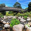 Die 95 Jahre alte Brücke überspannt die Schlücht und verbindet den Ortskern von Gurtweil mit dem Wohngebiet rund um die Königsberger ...
