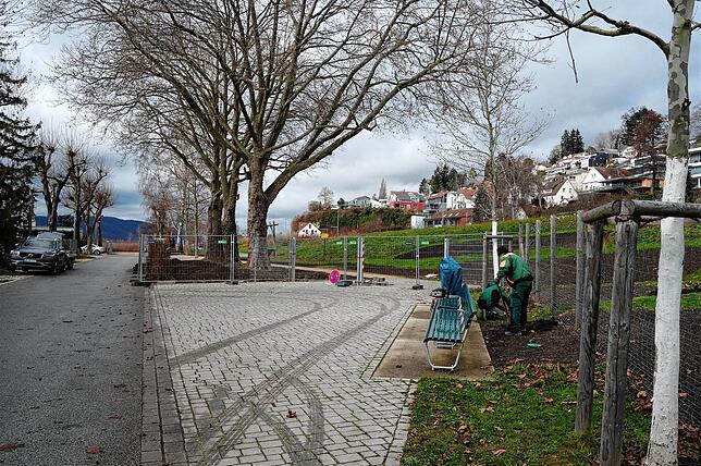 Wege werden restauriert und saniert. Die Verkehrssicherheit muss gewährleistet sein, bevor das Gelände im Uferpark wieder für die ...