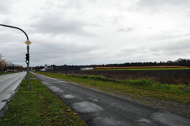 Grünes Licht für das neue Baugebiet Tiefenreute/Bühl: Auf diesen Flächen südlich der Georg-Fischer-Straße soll es entstehen. Im ...