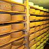 Hier bekommt ein jeder Appetit auf leckeren Käse: Im Keller warten die Hartkäse-Laibe, bis sie den richtigen Reifegrad erhalten. Dreimal ...