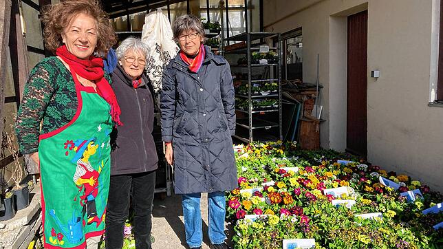 Luise Mitsch (von links) und die Kolleginnen Karin Langer sowie Anita Heuberger lassen Senioren in Konstanzer Heimen Blumen zukommen.
