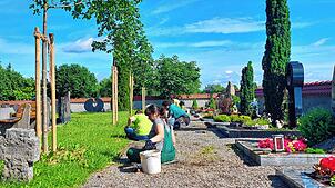 In Handarbeit und ohne den Einsatz von Herbiziden bringt die Grünpflegegruppe der St. Franziskuswerkstatt die Kieswege auf dem ...
