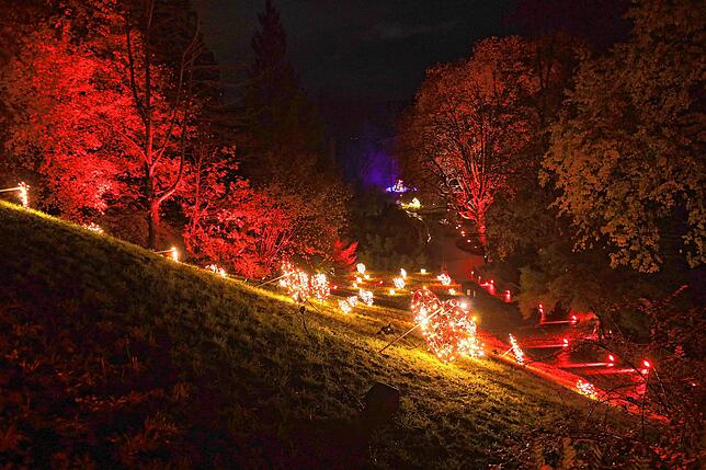 Bild 6: Insel Mainau: Bilder vom Start des Christmas Garden 2023 - Teil 1