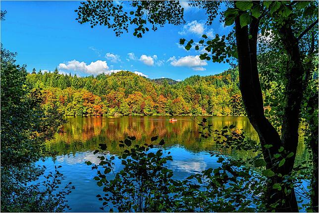 Wie ein Gemälde zeigte sich der Bad Säckinger Bergsee im Oktober.