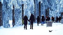 Spaziergänger Anfang Januar im Schwarzwald am Mummelsee