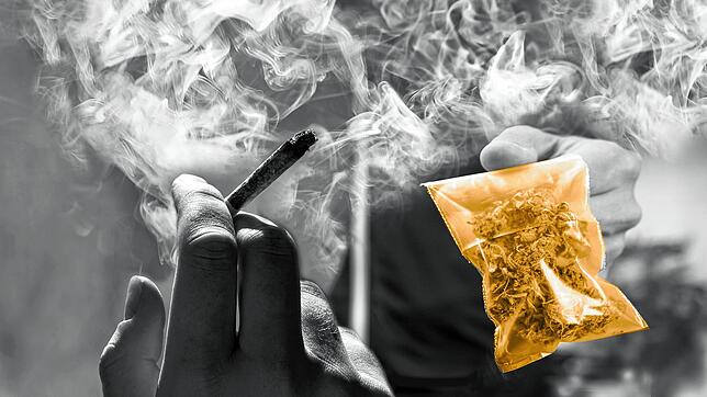 Cannabis als klassische Einstiegsdroge schon im Jugendalter: Ein Schwerpunkt polizeilicher Präventionsarbeit ist es auch im Kreis ...