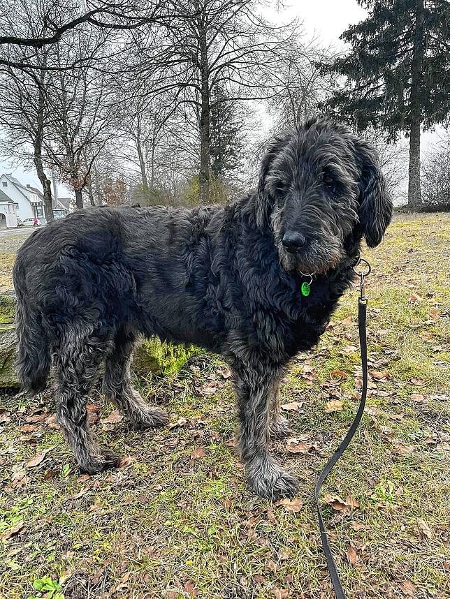 „Kurztrip zum Bänkle bei mittlerem Nebel. Ansonsten trockenes Wetter bei Null Grad am 4. Februar“: 16 Fans von Awell gefällt das.