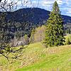 Im Feldberggebiet rückt das Ende der Vollsperrung der B317 zwischen Bärental und Caritashaus näher. Eine weitere Sanierungsmaßnahme ...