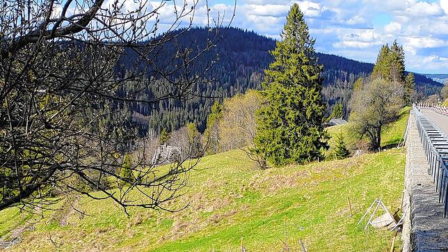 Im Feldberggebiet rückt das Ende der Vollsperrung der B317 zwischen Bärental und Caritashaus näher. Eine weitere Sanierungsmaßnahme ...