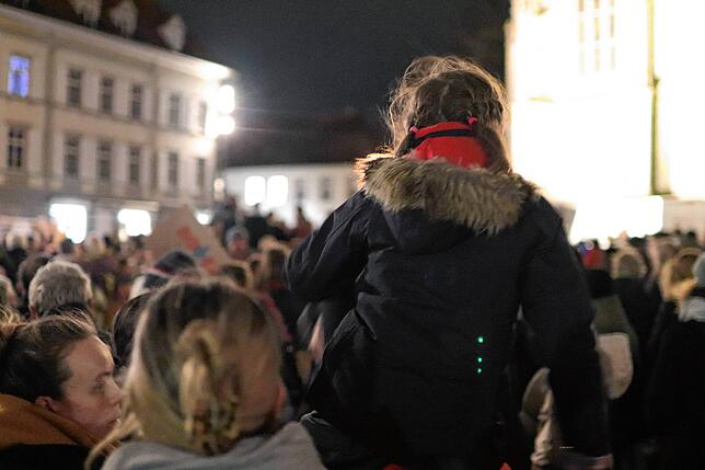 Bild 14: Konstanz - Demo gegen rechts am 24.01 - Der Protest in Bildern