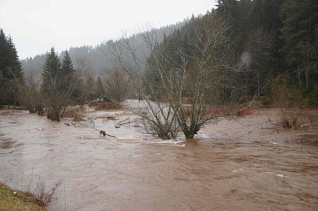 Bild 9: Land unter im Bregtal &ndash; Feuerwehren sind im Einsatz