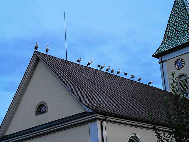 Das Kirchlein im Ortsteil Schlatt am Randen wird gern von Störchen besucht, die sich für ihre Reise in den Süden zusammentun.