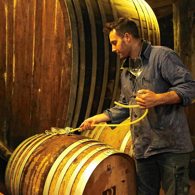 Bild 3: Ab in den Keller! Hier werden in Konstanz die Trauben in Wein verwandelt