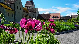 Es geht auf Entdeckertour in die Klostergärten der Reichenau. Auf dem Arenenberg und im Kreuzlinger Seeburgpark steht der Weinbau im ...