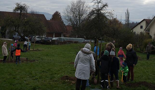 Am Dienstagnachmittag pflanzten 20 Kinder der Grundschulen von Murg und Niederhof unter der Aufsicht von Rektorin Stephanie Hikisch und ...