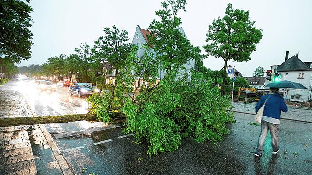 Ein nach einem Starkregen umgestürzter Baum liegt auf einer Durchgangsstraße in Stuttgart-Sillenbuch.