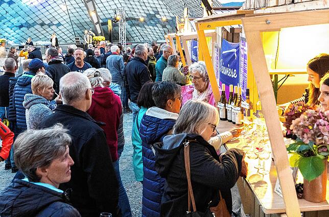 Bild 10: Ausgelassene Stimmung beim Radolfzeller Weinfest "Weinwiese" am Konzertsegel